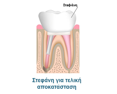 aponeurosi 4