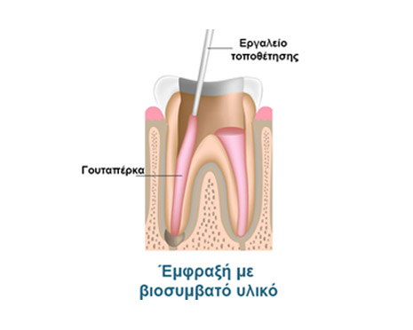 aponeurosi 3